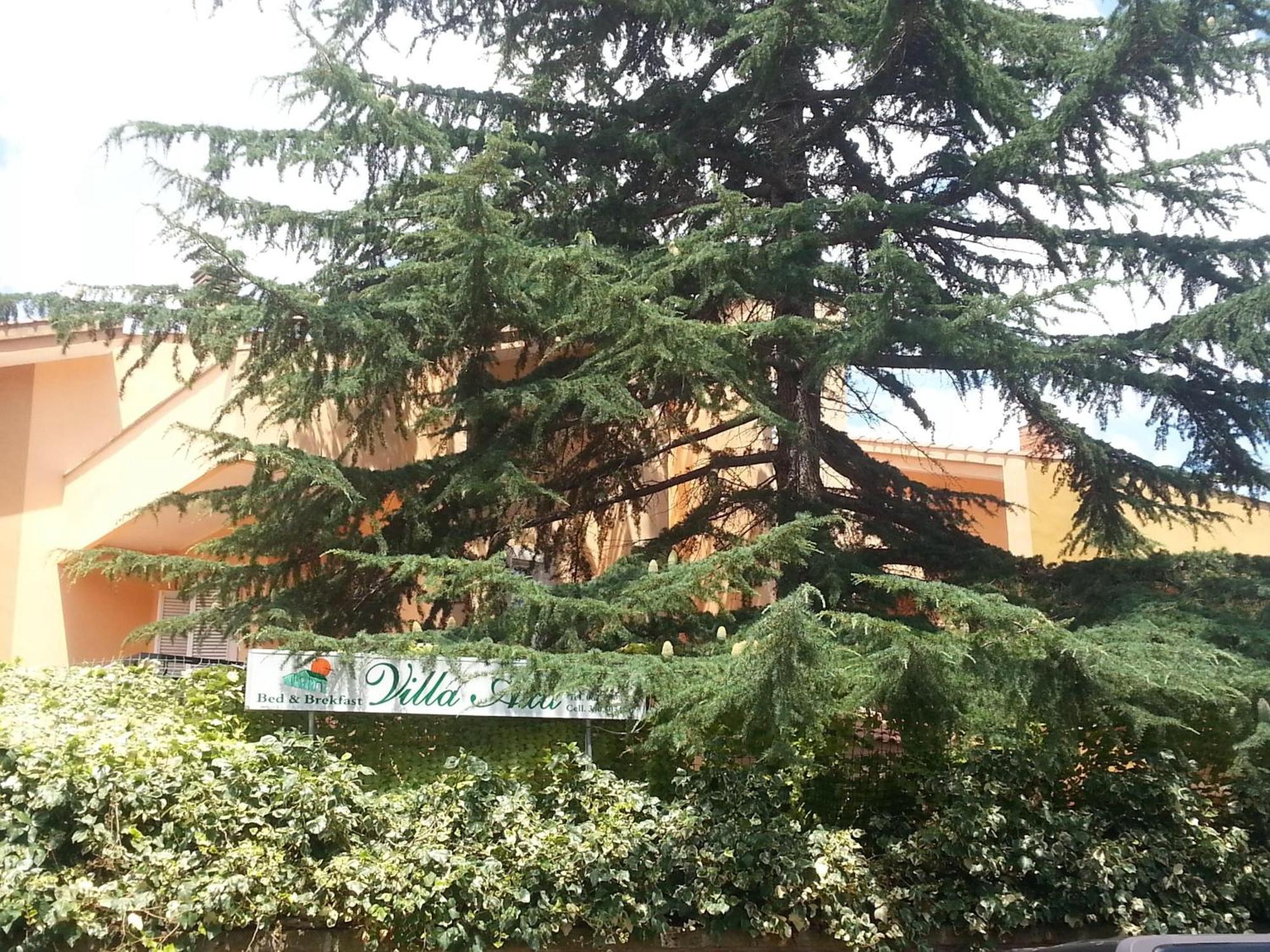 קזאל פלוקו Villa Axa חדר תמונה